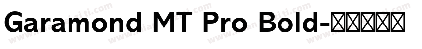 Garamond MT Pro Bold字体转换